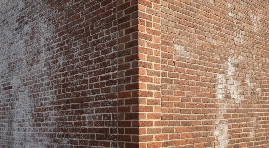 Preventing Efflorescence on Brick: A Brooklyn Homeowner’s Guide to Masonry Protection